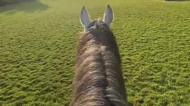 Riding first sight