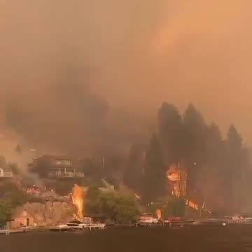 It’s a fair question. Why do the houses burn but not the trees?