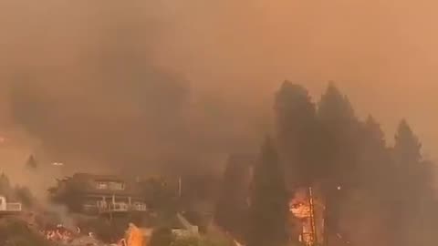 It’s a fair question. Why do the houses burn but not the trees?