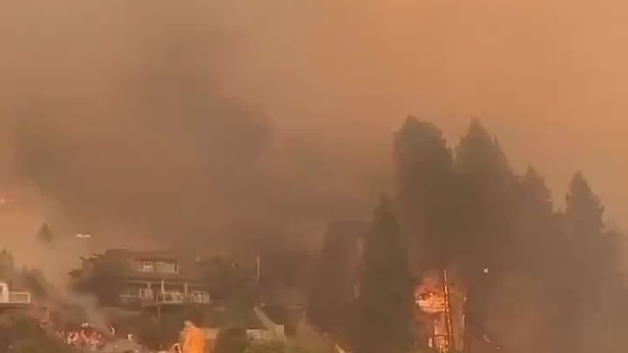 It’s a fair question. Why do the houses burn but not the trees?