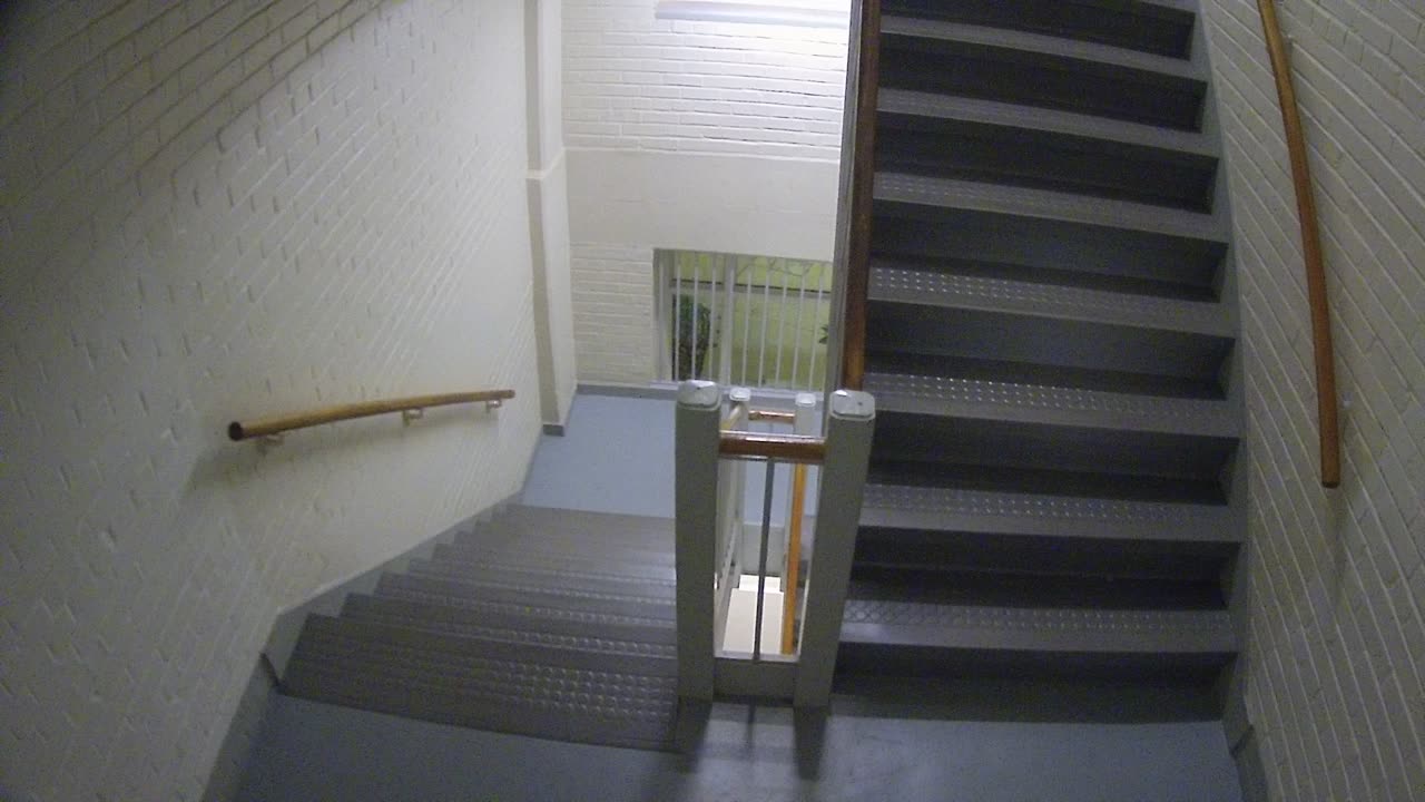 3883FHOB03Stair7_2021-01-06_02h58min58s127ms.mp4
