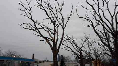 Himmel in Berlin am 11.01.2023 um 8:40 Uhr