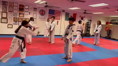 Taekwondo