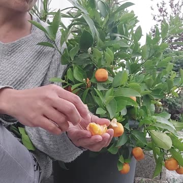 Ganito lang ka simple ang buhay #like #reel #easylife #sarap #lifehacks