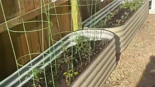 Repurposed Materials Backyard Garden!