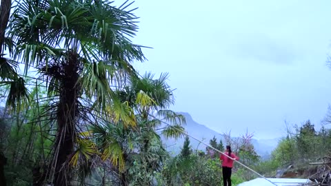 Cooking with Wild Ingredients from the Mountain