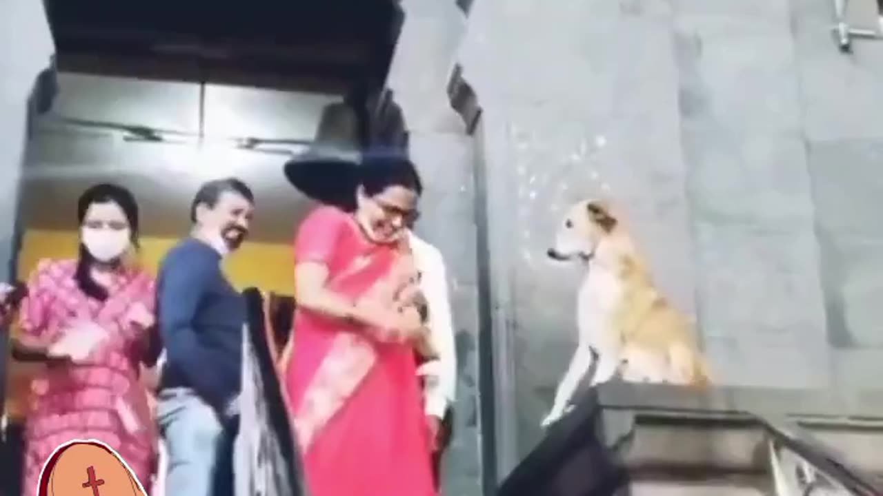 A DOG WHO SITS OUTSIDE A CHURCH GIVING FOLKS HIGH FIVES
