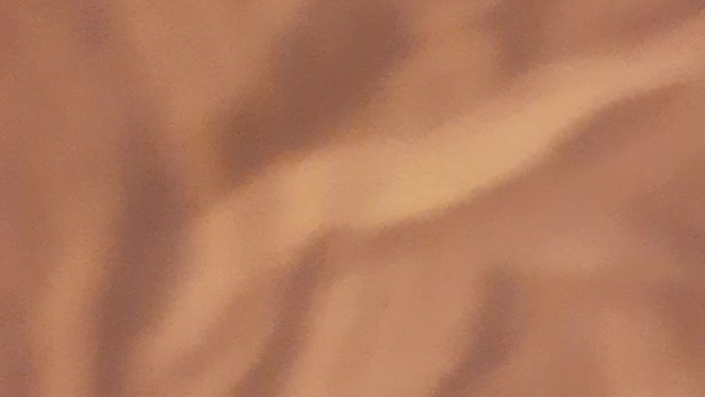 Dont let tje bed bug's bite