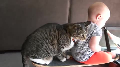 Baby and cat enjoy precious skateboard ride together