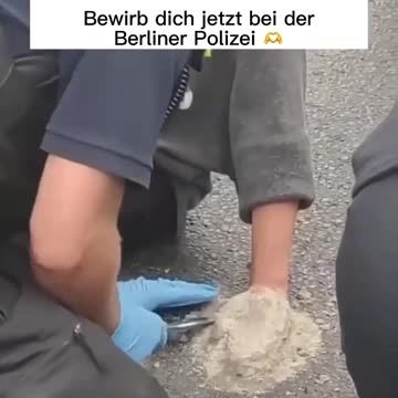 Hey the Police, just leave them Greens alone. They will find a way after a day or two. Third day come with a machete.