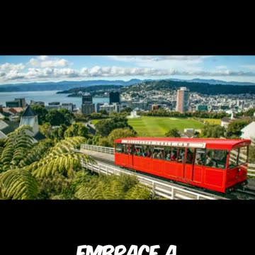 Creating the Perfect New Zealand Manuka Honey Pear Sparkler