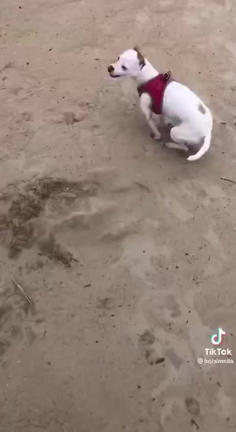 Anti-Loosh Video Number 2. LOOSH is real and bad. Explained below and watch the video!