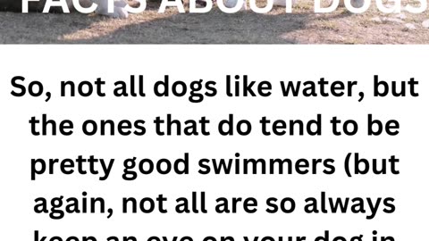 FACTS ABOUT DOGS.....3/10