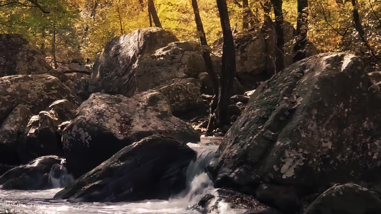 Sink into nature