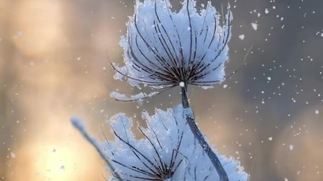 The storm was still busy outside, and snow falling