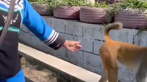 MONKEY IS SERIOUS