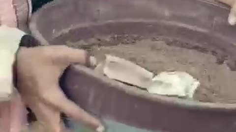 Funny video