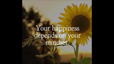 Happiness & Mindset