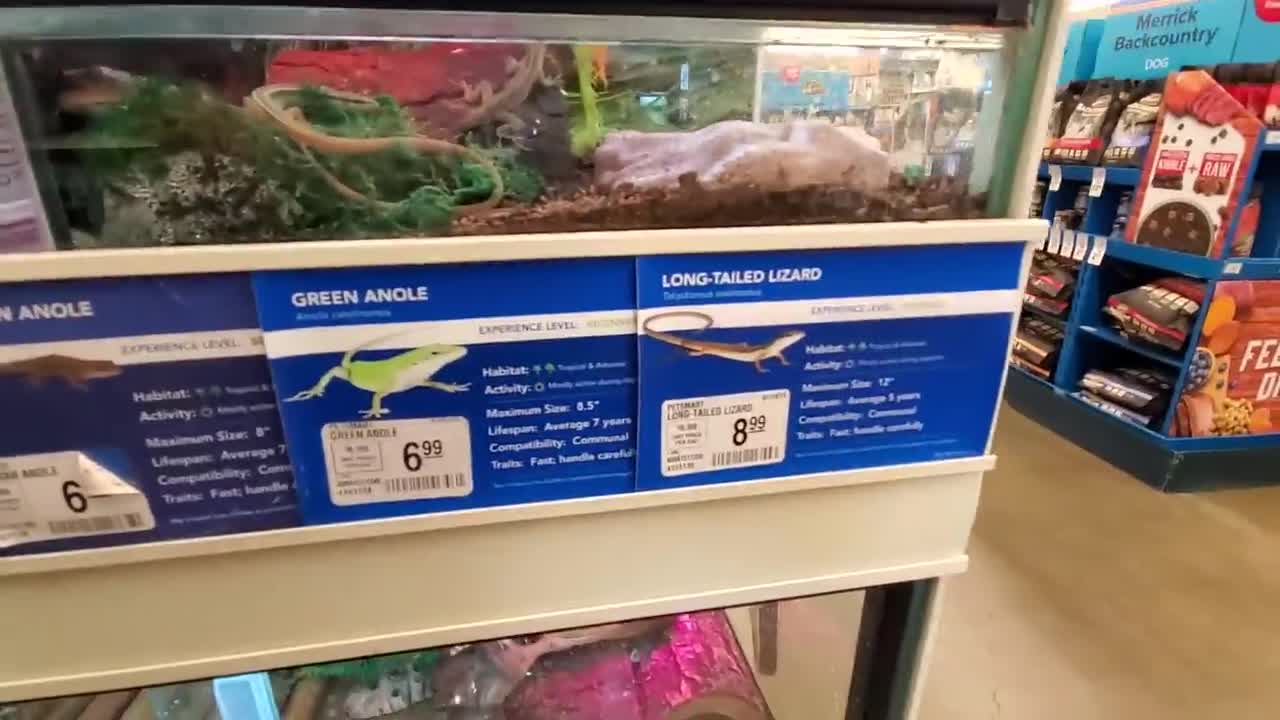 EXPLORING PETSMART ! ANIMAL FRIENDS EVERYWHERE!