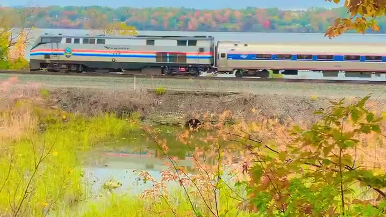 SHORT PASSENGER TRAIN