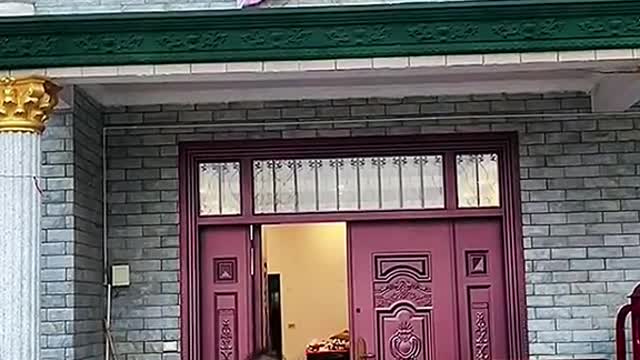 Surprise today#fypシ #funnyvideos #husbandwife #搞笑視頻