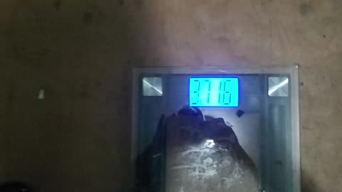 Weigh-In Jan 29, 2024