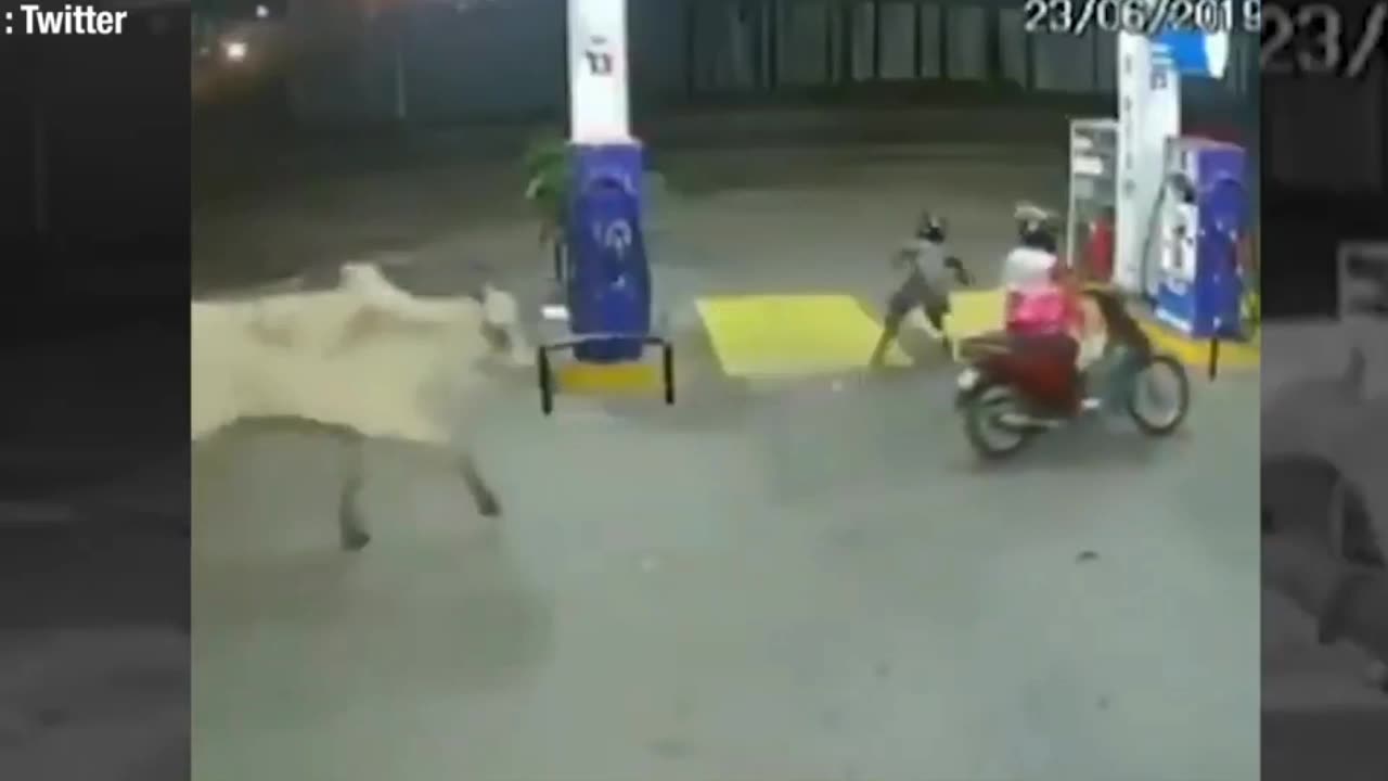 Funny accident capture in camera footage 🤣🤣 | #funny