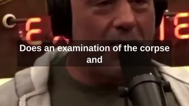 Rogan: Pedophile Island was Real - What?