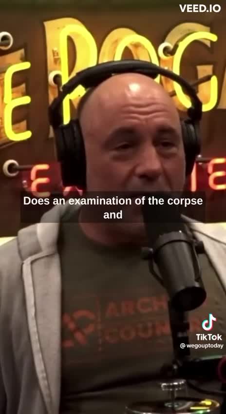 Rogan: Pedophile Island was Real - What?