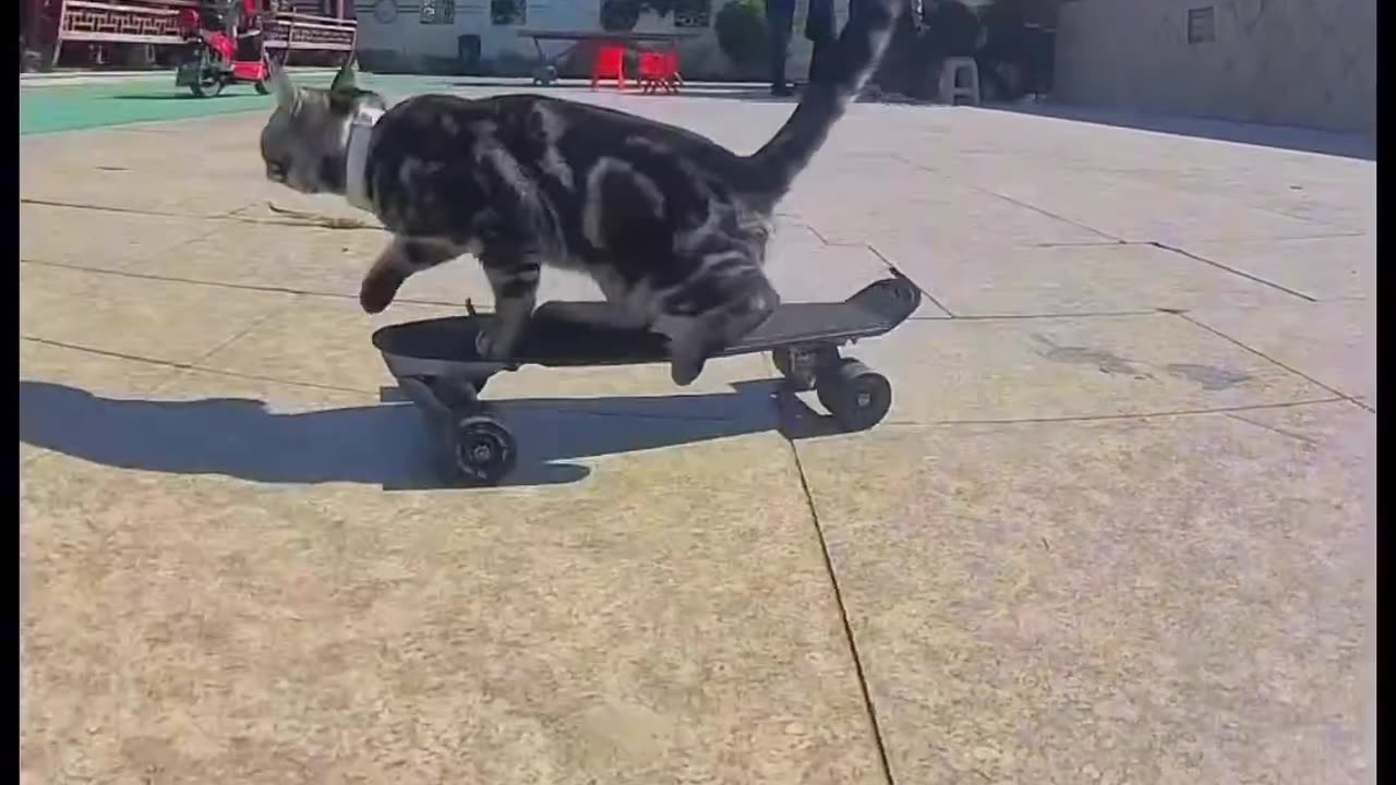 bros better in skateboarding than anyone else!
