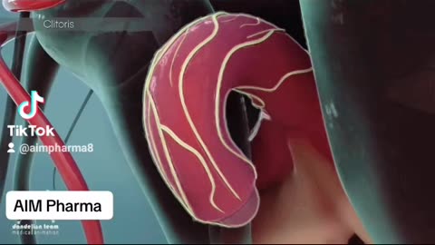 Do you know what happens when sexual arousal inside the body|AIM Pharma|2023