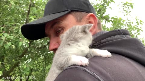 Beautiful relationship between cat and man