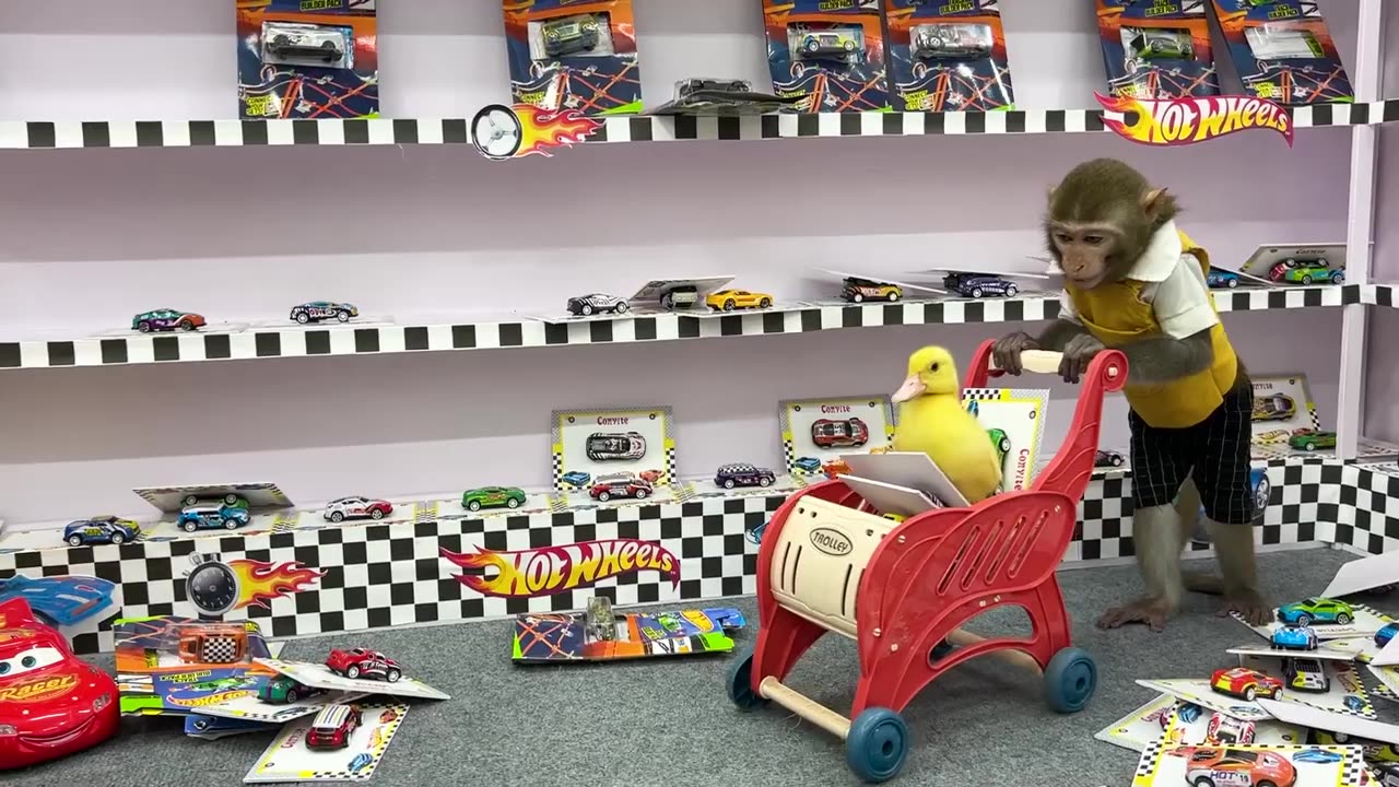 Baby monkey goes to the supermarket to buy a Hot Wheel car to play races with ducklings