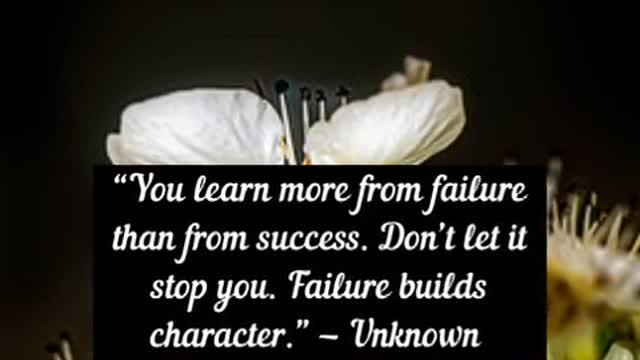 You learn more from failure than from success Don’t let it stop you Failure builds character