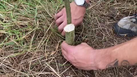 Building A Clay Bushcraft Survival Shelter