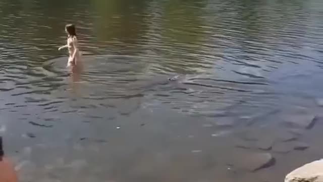 Obey the leash laws #Floridaman