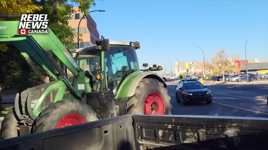 Mischief charges against 'key participants' of Coutts blockade adjourned until Nov. 4