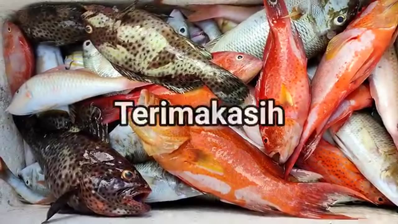 Perangkap Ikan Tradisional