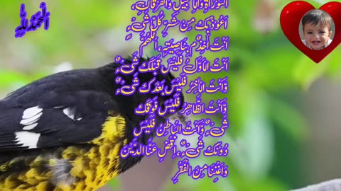 qarz se nijat ki dua