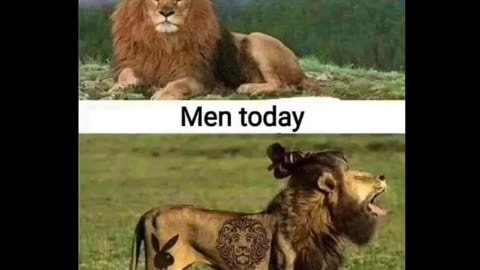 Men Today 🤣