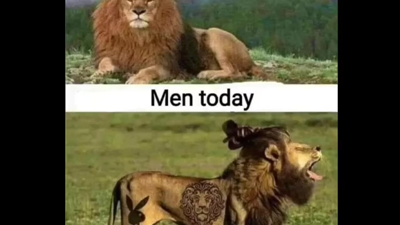 Men Today 🤣
