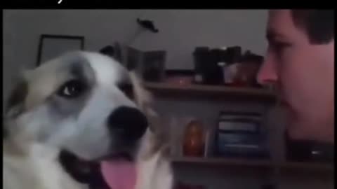 Wait For It 😂