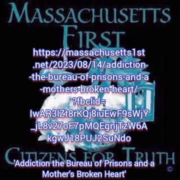 Addiction, the Bureau of Prisons and a Mother’s Broken Heart - a book by Denise Hansen