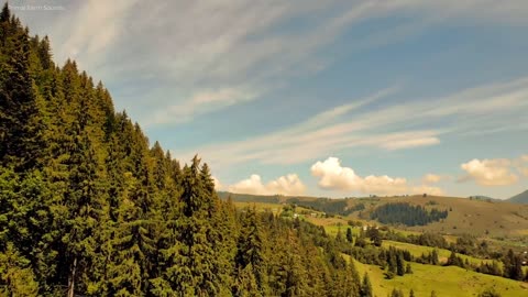 Magnificent & Mountains, & Forests