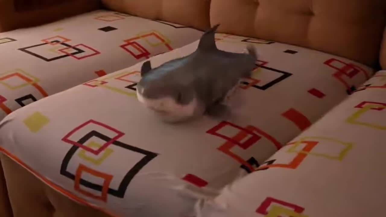 Baby Shark Happy Shark Funny Shark Cute Baby Animals Reaction😍