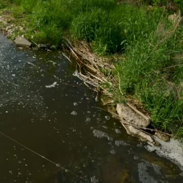 Bobby Garland Itty Bit Swim'R Largemouth Bass Fishing