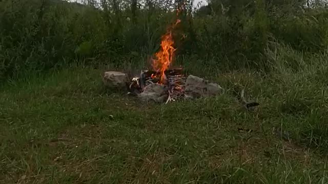 Fire