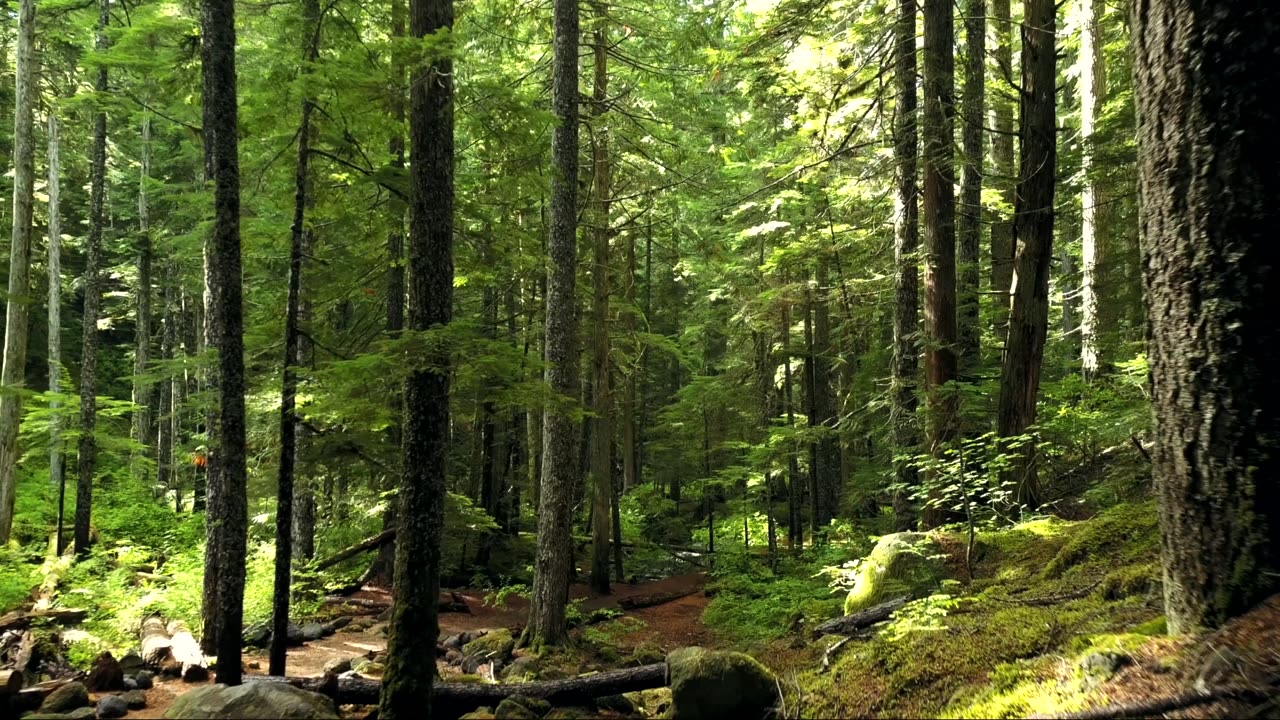 live better with nature