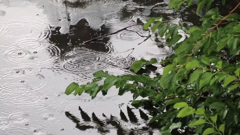 raindrops pouring