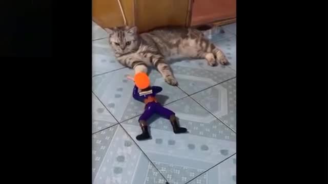 💗Cute And Funny Pets | Try Not To Laugh To These Pets Compilation 7💗 Cutest Lands